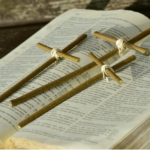 bible cut