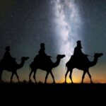 camels-1150075_960_720