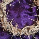 crown-of-thorns-2641239__340